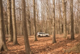 Subaru Forester 4dventure | Nella Foresta di Un Milione di Alberi