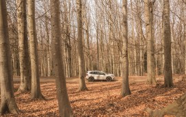 Subaru Forester 4dventure | Nella Foresta di Un Milione di Alberi