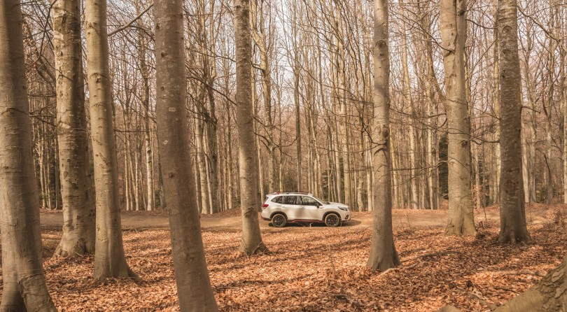 Subaru Forester 4dventure | Nella Foresta di Un Milione di Alberi