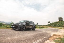 Tesla Model Y Performance | Test Drive